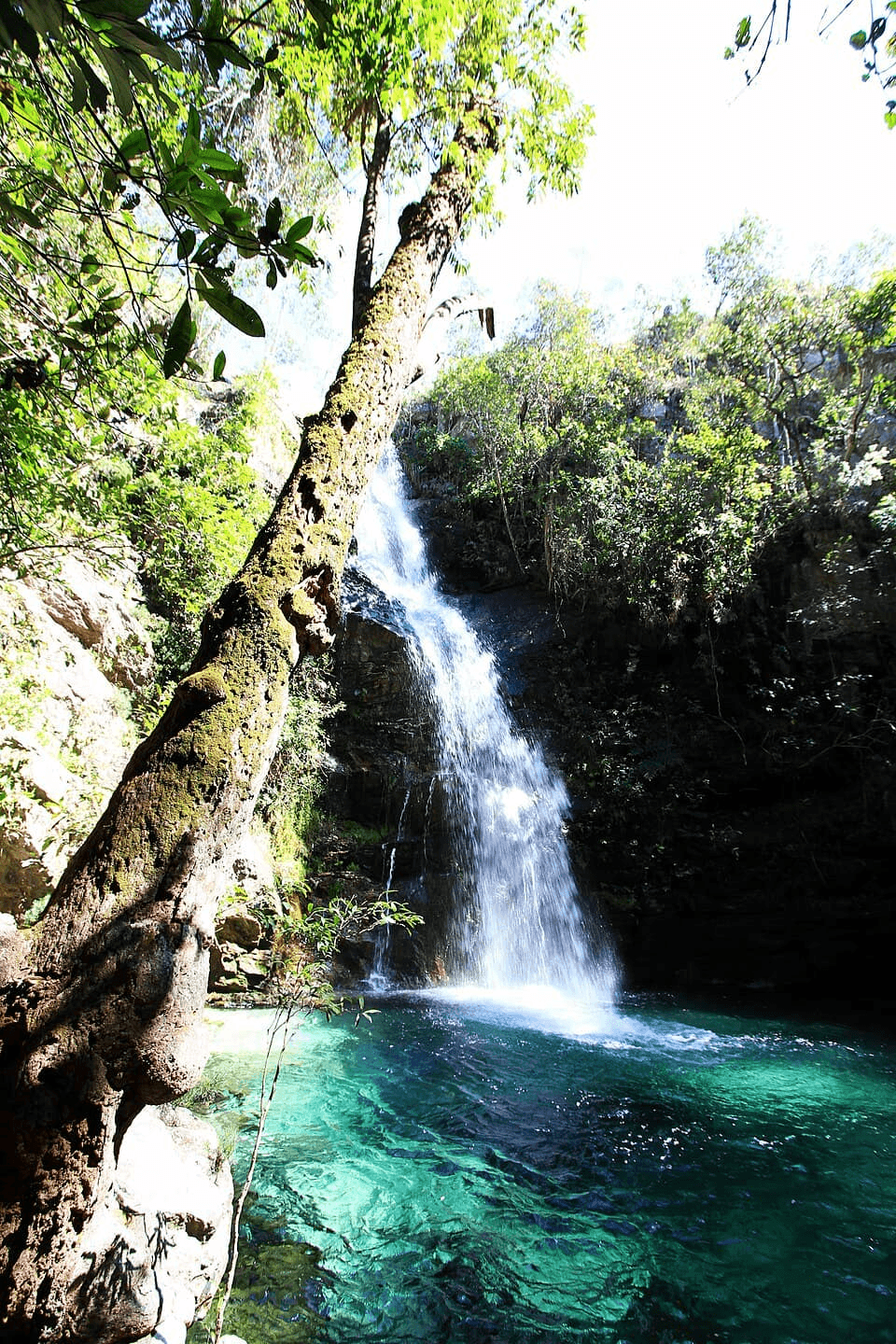 Paisagem da rota Alto Paraíso a Cavalcante, Chapada dos Veadeiros.