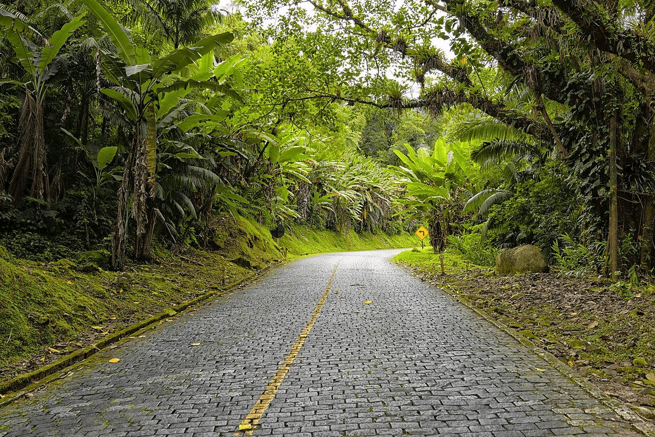 Paisagem da rota Estrada da Graciosa, Serra do Mar (PR).