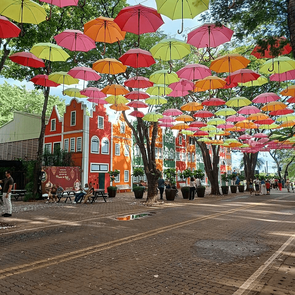 Paisagem da rota Holambra pelas flores, Interior de SP.