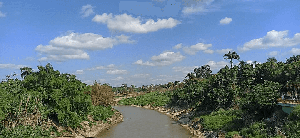 Paisagem da rota Estrada do Pacífico: Rio Branco a Assis Brasil, Acre.